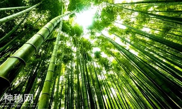 30个让你大开眼界的生物冷知识，地球上到底有多奇妙？-6.jpg
