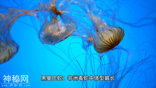 #生物-1.jpg