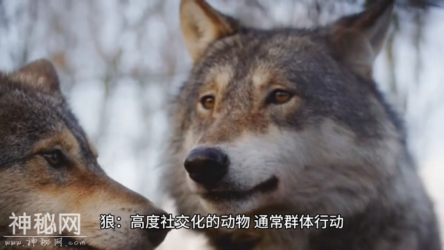 #生物-2.jpg