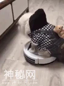 20张能把人笑哭的搞笑图片，承包了我整整一个月的笑点-1.jpg