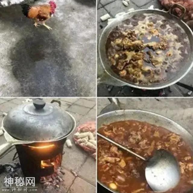 20张能把人笑哭的搞笑图片，承包了我整整一个月的笑点-14.jpg